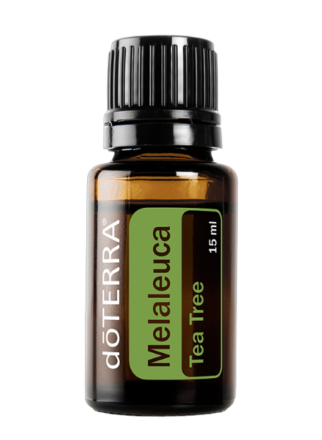 Frasco Melaleuca (Tea Tree)