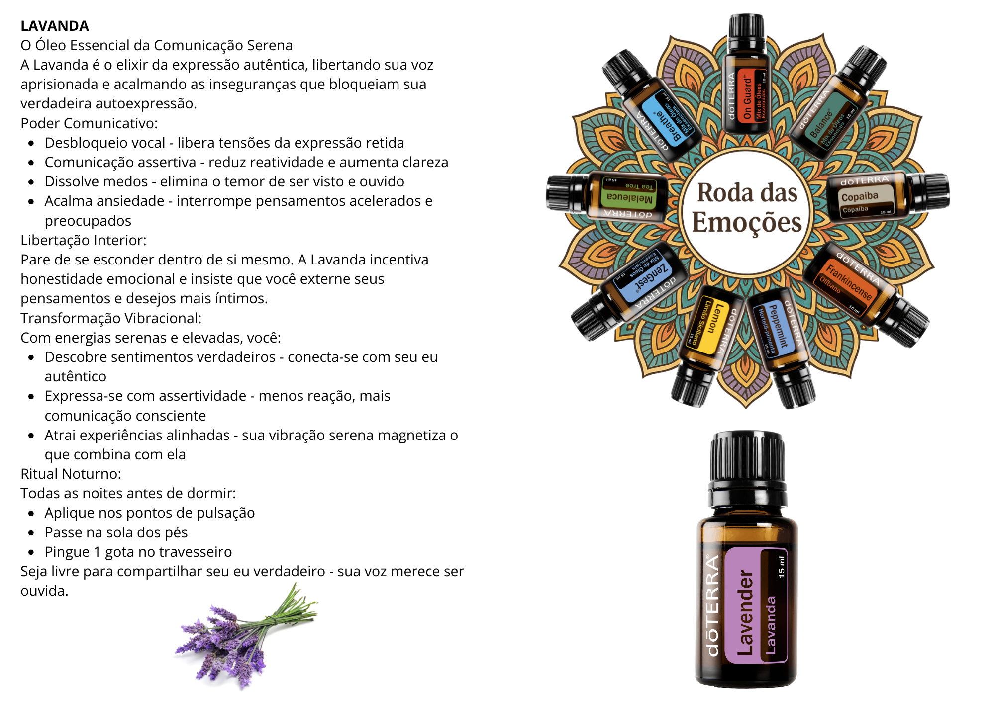 Carta Lavanda