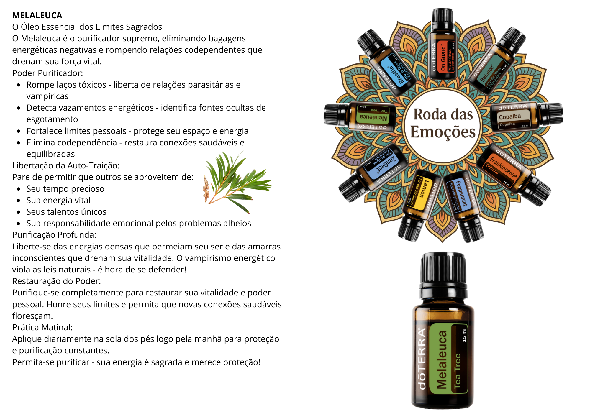 Carta Melaleuca