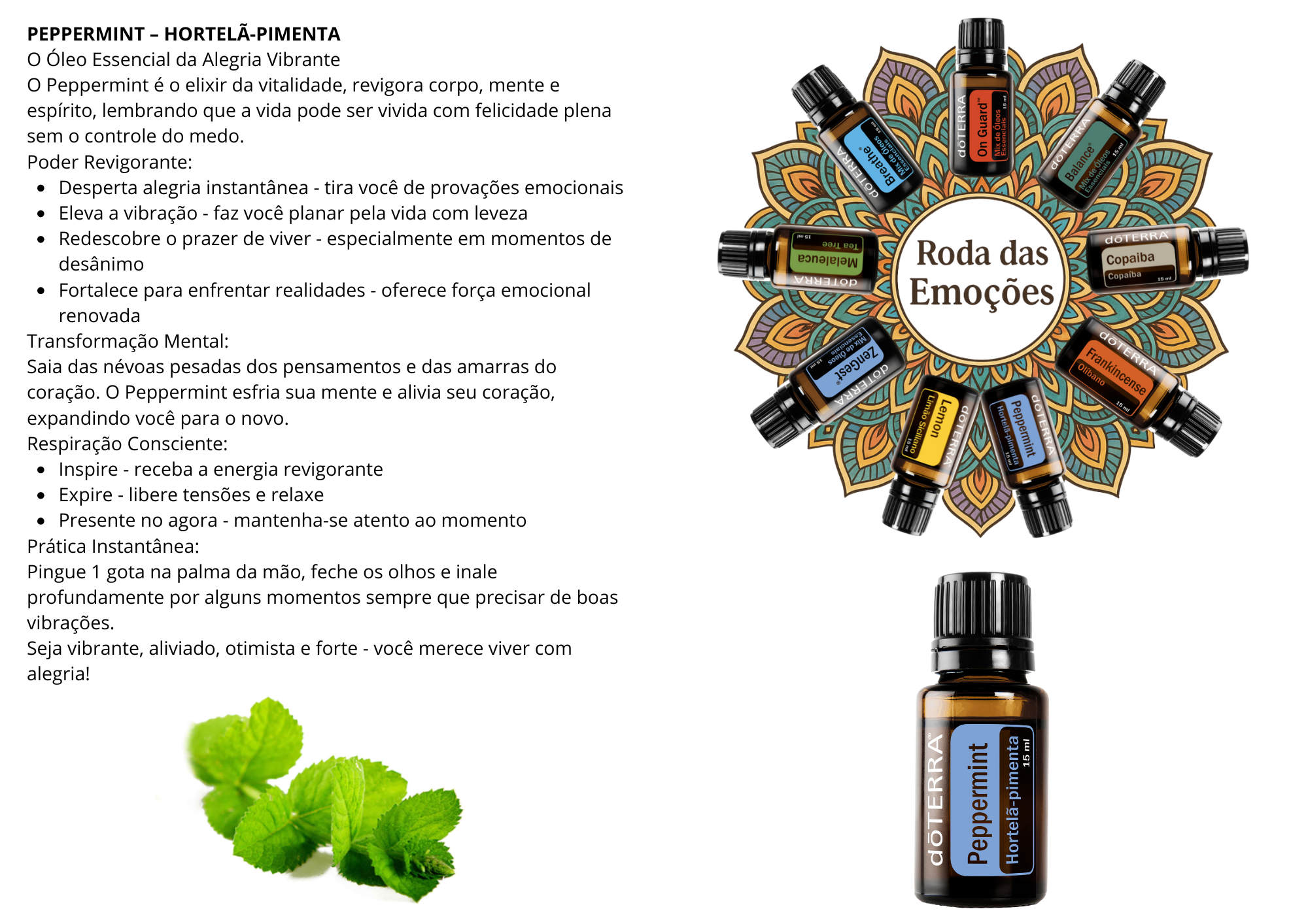 Carta Peppermint