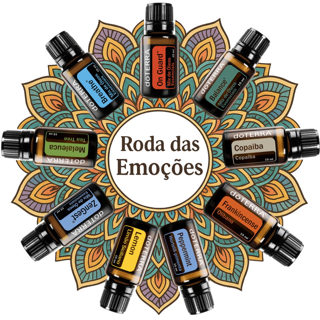 Roda das Emoções